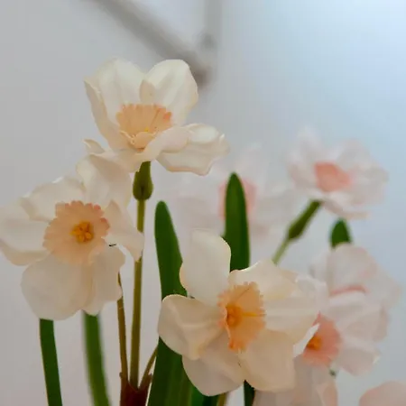 Casita Mirasol Daire Arrecife (Lanzarote)